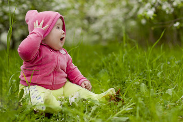 Similar image 1649231