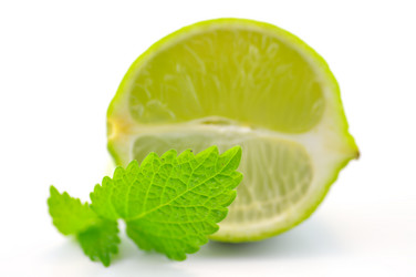 Similar image 1649390