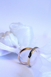 Similar image 1649404