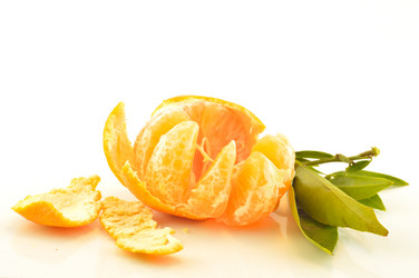 Similar image 1649421