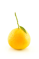 Similar image 1649422