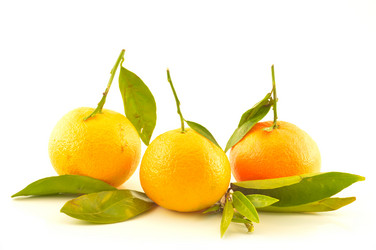 Similar image 1649425