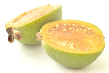 Similar image 1649426