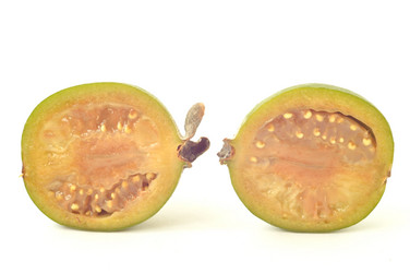 Similar image 1649427