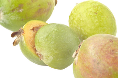 Similar image 1649428