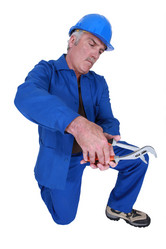 Similar image 1649439