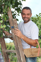 Similar image 1649469