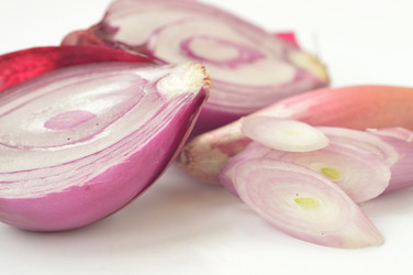 Similar image 1649475