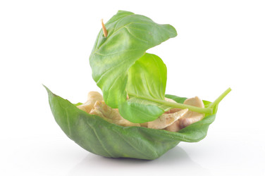 Similar image 1649513