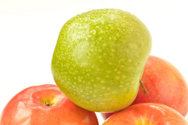 Similar image 1649524