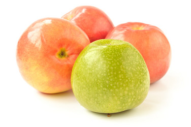 Similar image 1649525