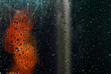 Similar image 1649757