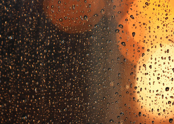 Similar image 1649761