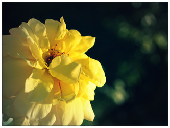 Similar image 1649831