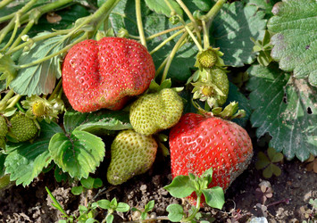 Similar image 1649870