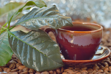 Similar image 1649877