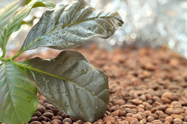 Similar image 1649878