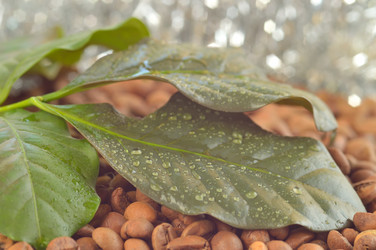 Similar image 1649879