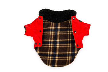 Similar image 1649994