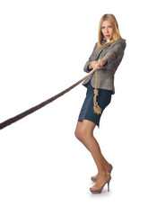 Similar image 1650039