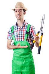 Similar image 1650168