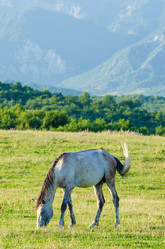 Similar image 1650174