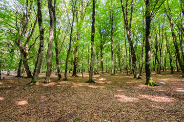 Similar image 1650185