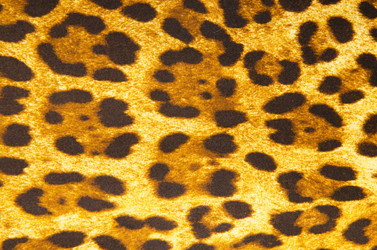 Similar image 1650467