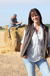 Similar image 1650612