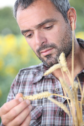 Similar image 1650613