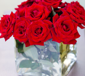 Similar image 1651661