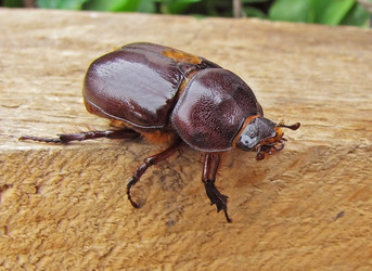 Similar image 1651670