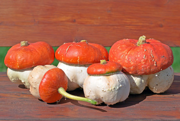 Similar image 1651710