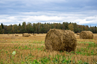 Similar image 1651744