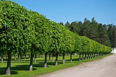 Similar image 1651750