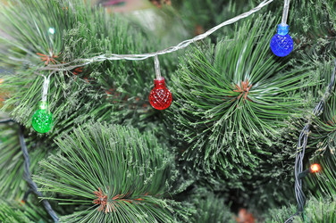 Similar image 1651767