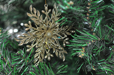 Similar image 1651776