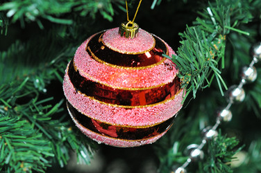 Similar image 1651782