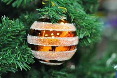 Similar image 1651787