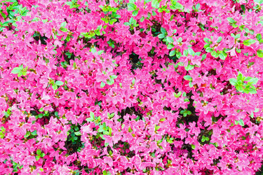 Similar image 1651809