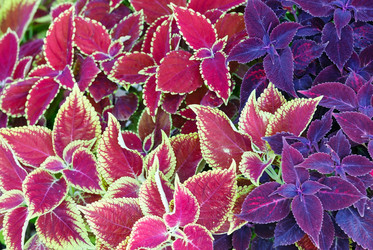 Similar image 1651821