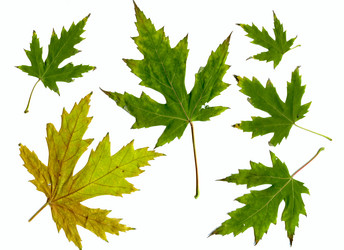 Similar image 1651854