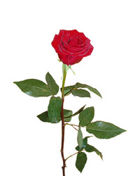 Similar image 1651855