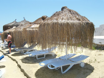 Similar image 1651866