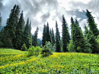 Similar image 1651870