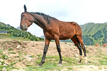 Similar image 1651878