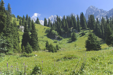 Similar image 1651881