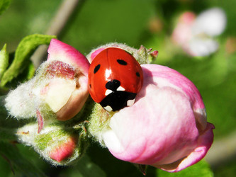 Similar image 1651886