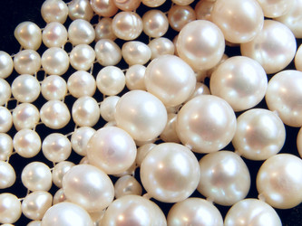 Similar image 1651900