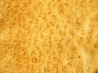 Similar image 1651901